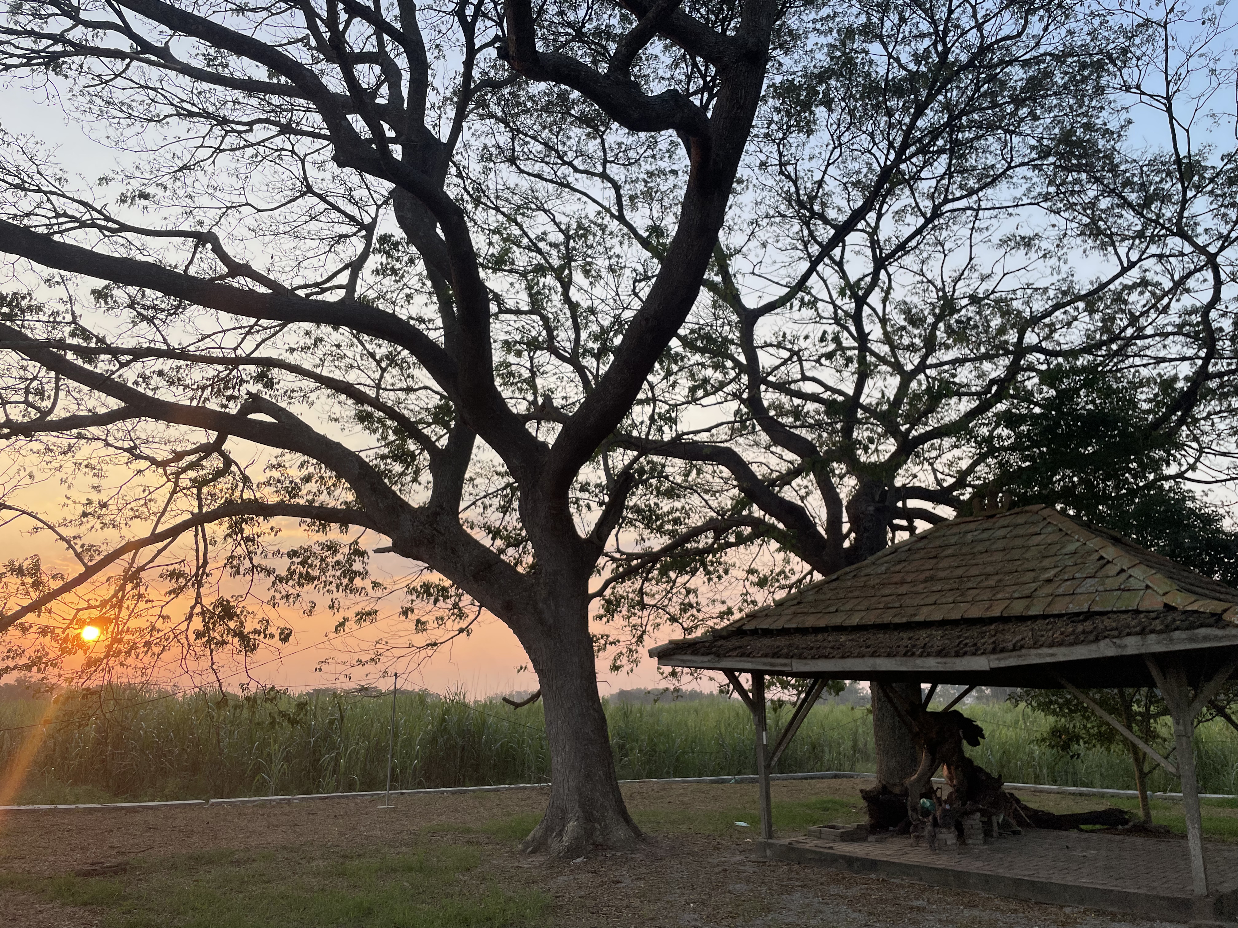 Kehidupan Desa Kepohkencono