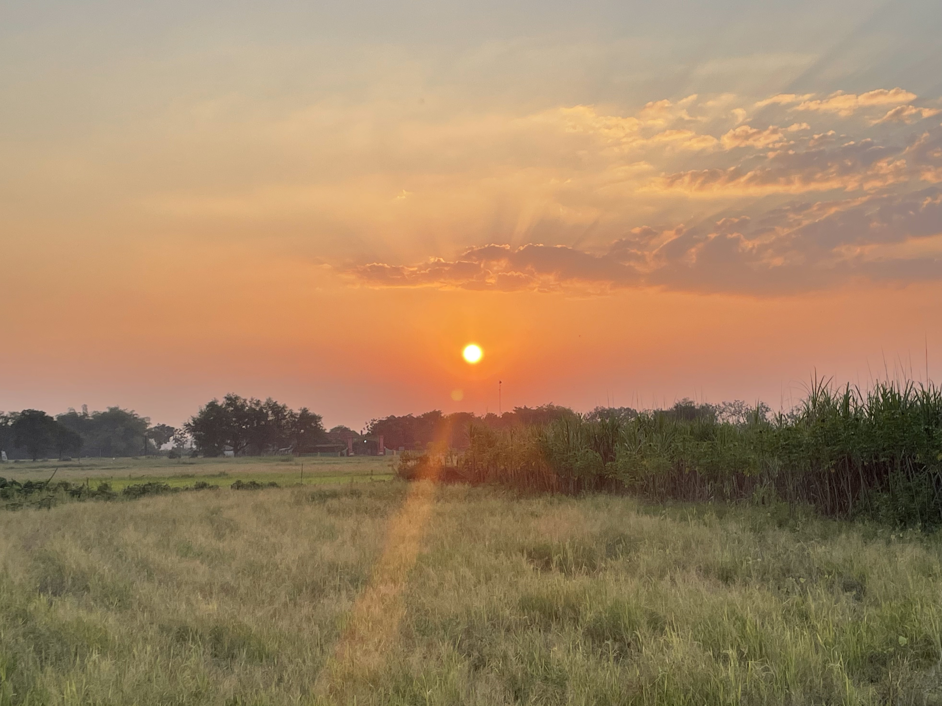 Sunset over Desa Kepohkencono fields